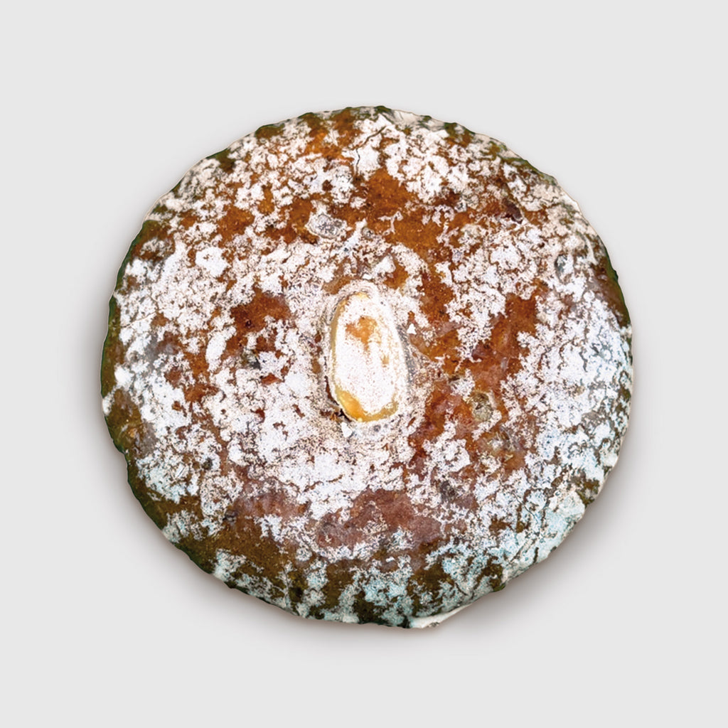 Elisen-Lebkuchen, 1 Stück in der Tüte mit Schleife